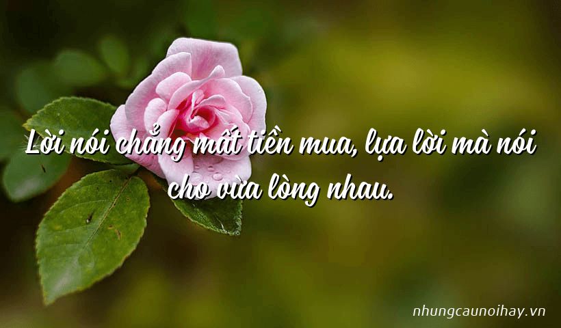 Lời nói chẳng mất tiền mua, lựa lời mà nói cho vừa lòng nhau.