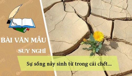 Bài văn mẫu Suy nghĩ của anh chị về câu nói: Sự sống nảy sinh từ trong